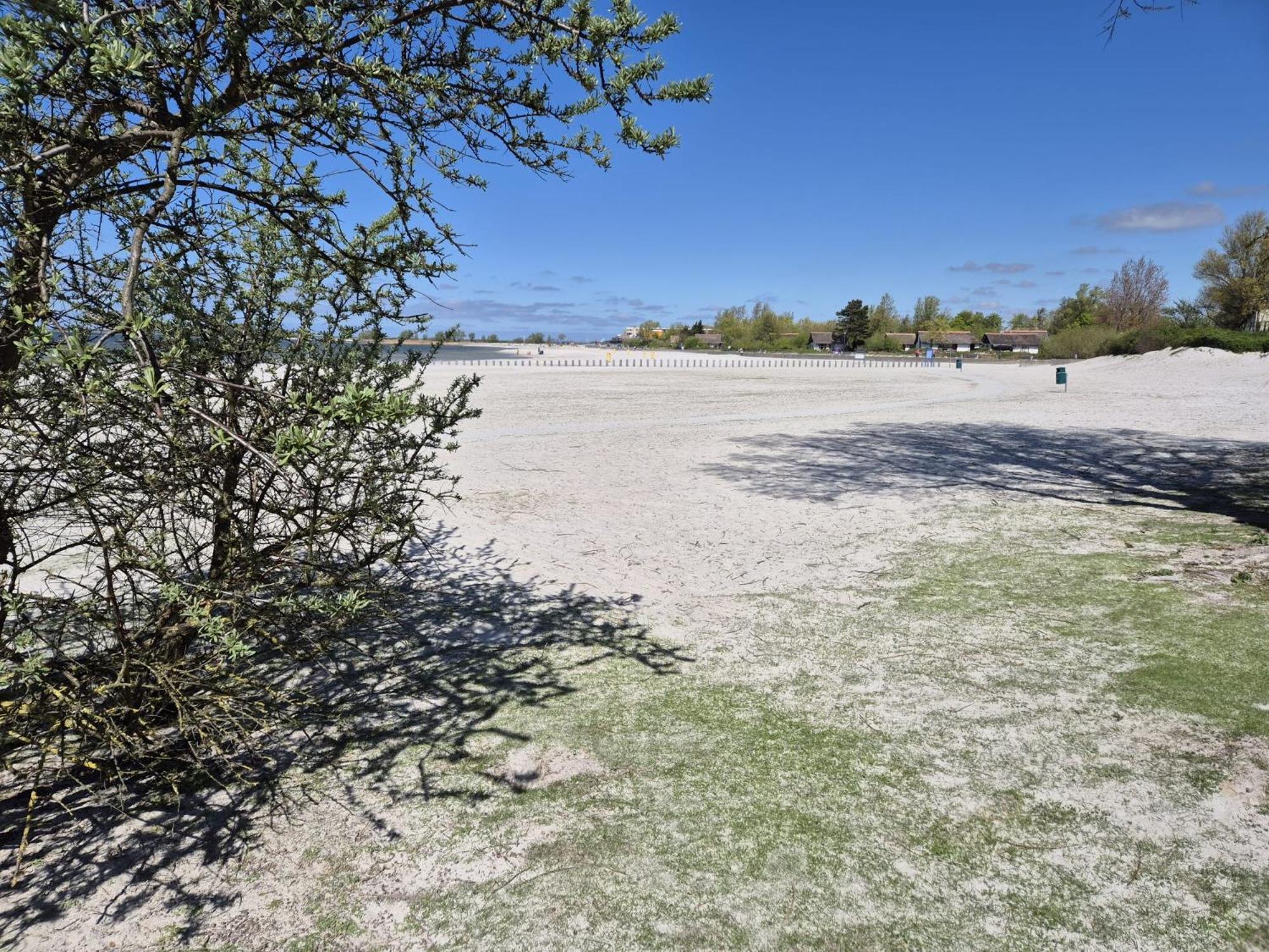 Prachtige Vakantievilla Aan Ijsselmeer Makkum Exterior foto
